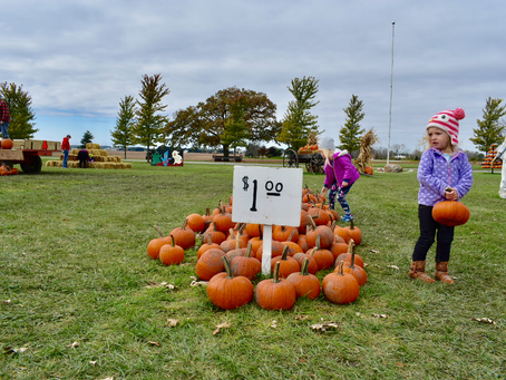 15 Pumpkin Patches You Can Visit in 2020