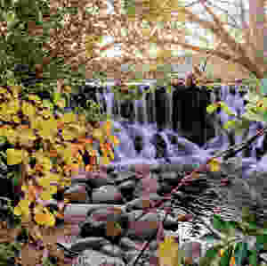 Wehr Nature Center in Fall Autumn