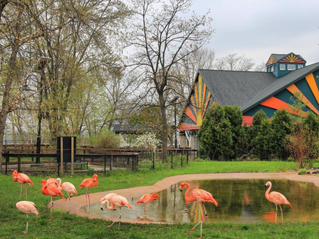 10 Outdoor Day Trips Your Kids Will Love