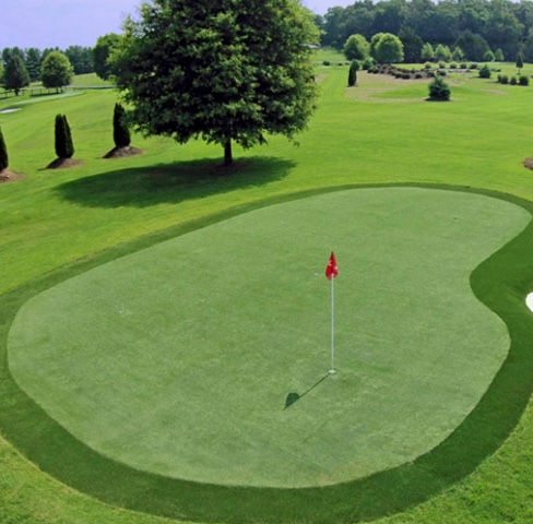 synthetic golf grass.jpeg