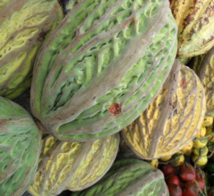 CACAO BLANCO.jpg