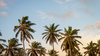Start a Florida LLC