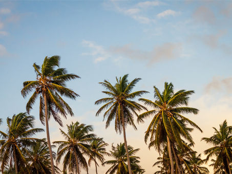 A Guide to Student Loan Forgiveness in Florida