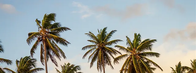 Yelp Reviews For Tina S Permanent Makeup And Eyelash 424 Photos