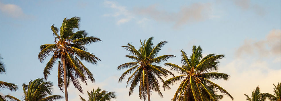 shutterstock_2280496155.jpg