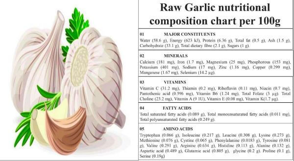 Nutritional Profile Of Garlic