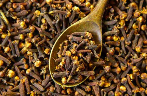 How Cloves Support Your Respiratory Health
