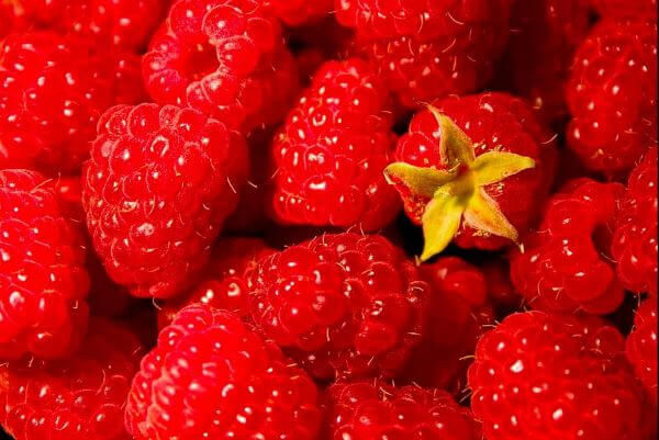 Benefits And Nutritional Content Of Raspberry