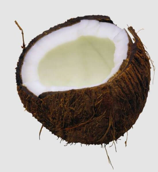 Half a coconut with rough brown husk and white flesh against a plain background. The inside is hollow, evoking a tropical feel.