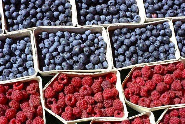 Raspberry and Digestive Health