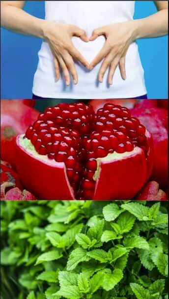How Raspberry Promote Digestive Health
