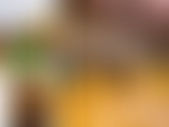 Potbelly Shack Menu Prices,And More