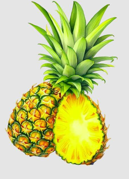 A whole pineapple and a half pineapple with vibrant green leaves and yellow flesh, showcased on a plain background.