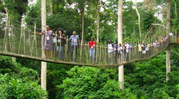 Kakum National Park