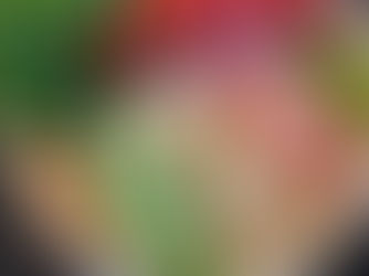 Summery Tofu Sushi Rice Bowls