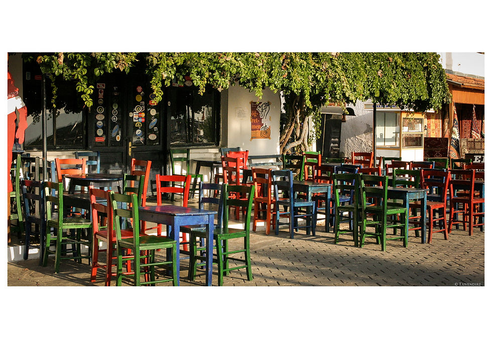 Mavi Bar Chairs