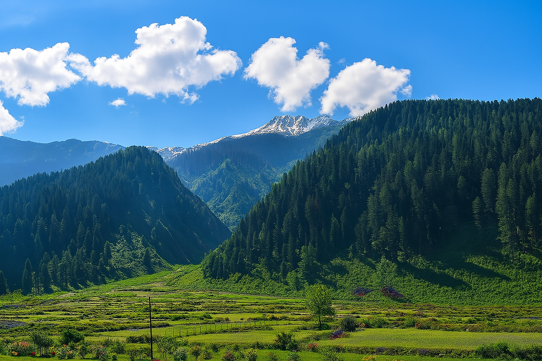 sultan-resort-sonamarg-mountain-view.png