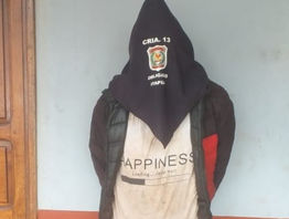 ITAPÚA: Un perro frustra un intento de robo en una granja de Obligado.