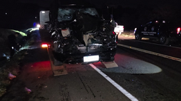 Camioneta impacta contra un vacuno sobre la Ruta PY06 en Trinidad y registra importantes daños