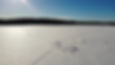 dji_fly_20230227_142628_639_1677510471270_photo_optimized.jpg