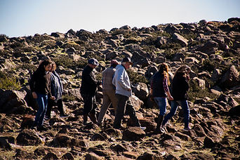 DSC_0379-2.jpg