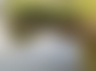 Modern solutions from an ancient bivalve: How oyster aquaculture is positioned to offer healthy and ethical options for our diet.