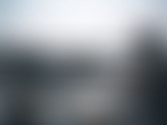 Member Updates – Spring 23