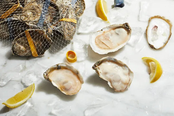The rubber bands holding these oysters together in the mesh bag are a sign that these oysters were opened using High Pressure Processing. HPP (typically 30–45K PSI) is a cold-pasteurization technique that completely separates shellfish meat from their shells. The downside of HPP? As the oysters are opened under water under extreme pressure, all of the liquor that makes the oyster unique gets expunged in the HPP process thus changing the taste profile from the pre-HPP opened original.