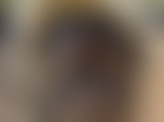 Encyclopedia Oyster - Volume 1