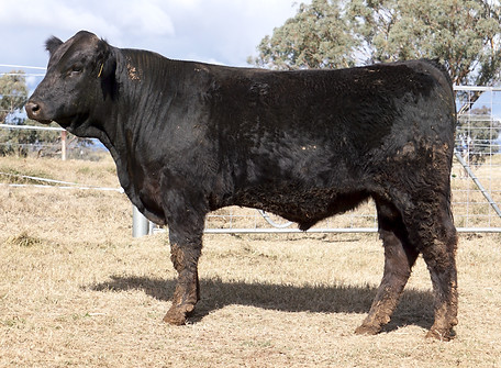 Lot 28 - ZIJPR002.jpeg