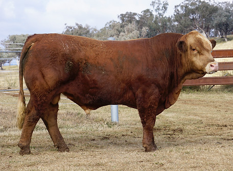 Lot 26 - JNIPQ011.jpeg