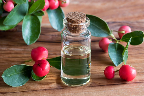 wintergreen.jpg