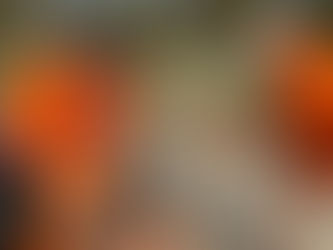 Nest #11 for the Terrific Tuesday Turtlers