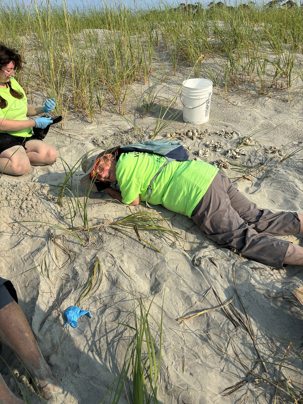 Inventorying nest #50.  Sometimes you just have to get down and dirty.