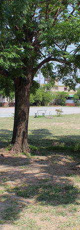 IMG_4071 (Copiar).JPG