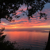 Dominican Republic Organic Peaberry