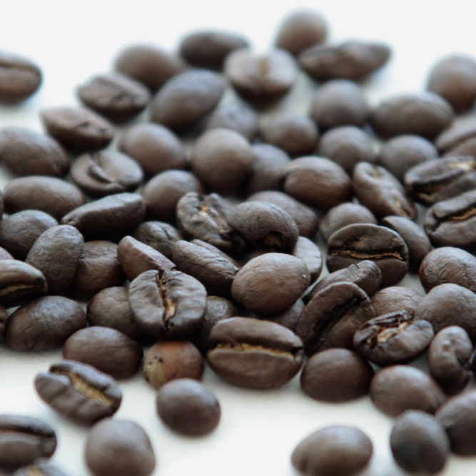 Sample Pack (12.5 oz)