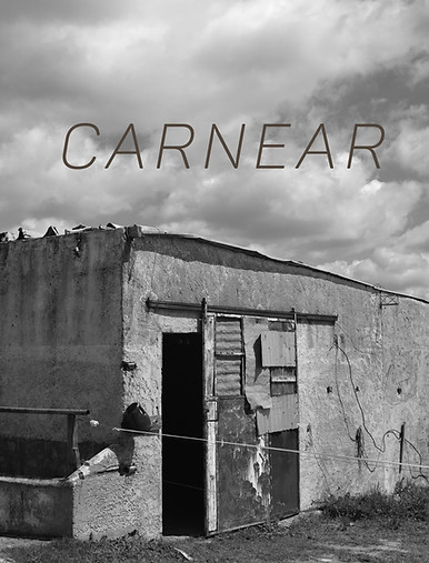 CARNEar CARATULA.001.jpeg