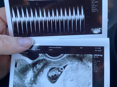 8 Week Update