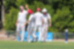 WCC 1ST XI 1.jpg