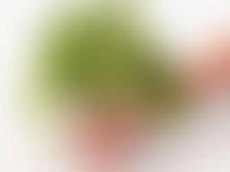 Cuestionario de Productos Ayurveda Herbales Personalizados