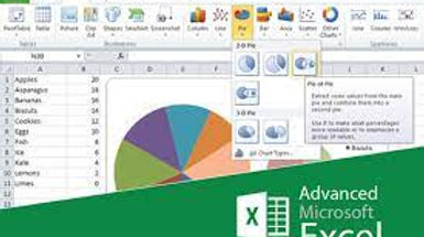 Certificate Course on MS Excel Advanced