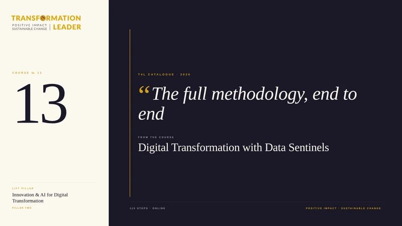 Digital Transformation and Data with Data Sentinels