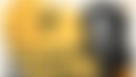 Toxic Workplace Signs: Red Flags and How to Survive