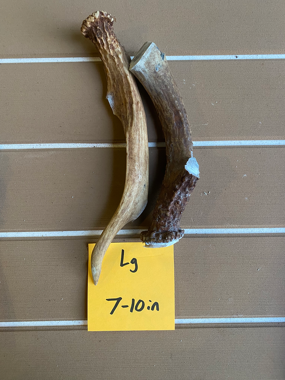 Thumbnail: Deer Antler Chews