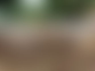 What types of livestock are present in Nigeria, and what do they produce?