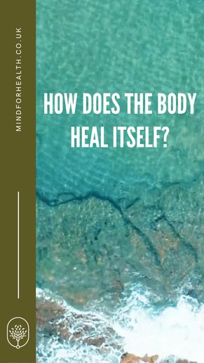 How does the body heal itself?