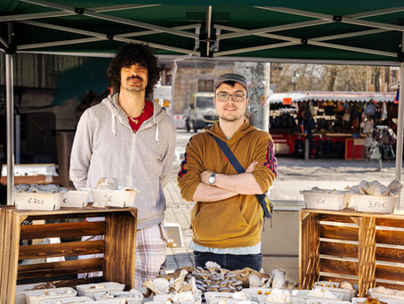 Die Meisterpilze-Geschichte (Teil 2)