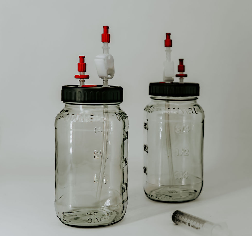 Miniaturbild: Fluessigkultur Glaeser 2x700ml steril (Luer-Lock)