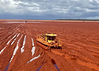 Bauxite Residue Mud Farming